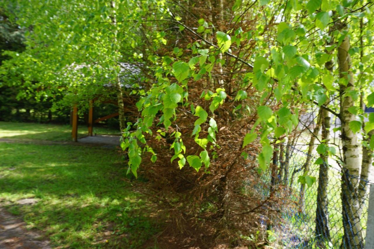 Osada Swierkowa Kopalino Esterno foto